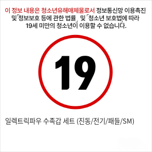 일렉트릭파우 수족갑 세트 (진동/전기/패들/SM)